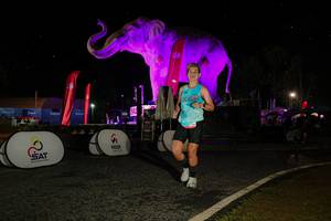 BIB: 
                            <button type="button" onclick="openModal(26534812)" class="btn btn-primary btn-sm float-right btn-popup" data-toggle="modal" data-target=".modal-high-quality">
                        <i class="fas fa-shopping-cart"></i> Add to Cart
                    </button>
                                            <button type="button" onclick="isThisMe(26534812, true)" class="btn btn-success btn-sm float-right btn-popup btn-isme hidden" data-toggle="tooltip" data-placement="bottom" title="นี่คือรูปของคุณใช่ไหม คลิกที่นี่เพื่อเอาเข้าอัลบั้ม">
                        <i class="fas fa-plus"></i> Add to album
                    </button>
                    <button type="button" onclick="isThisMe(26534812, false)" class="btn btn-warning btn-sm float-right btn-popup btn-isnotme hidden">
                        <i class="fas fa-ban"></i> Remove from album
                    </button>